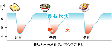 バランスのとれた食事サイクル