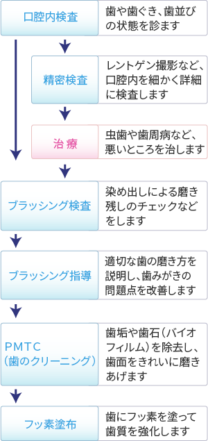 定期健診の流れ